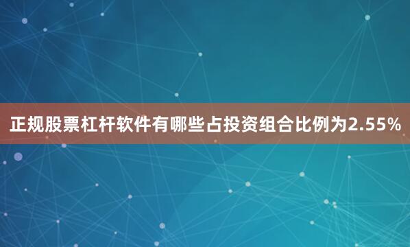 正规股票杠杆软件有哪些占投资组合比例为2.55%