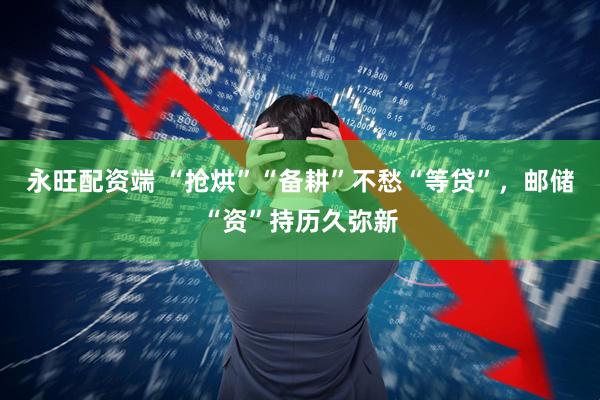 永旺配资端 “抢烘”“备耕”不愁“等贷”，邮储“资”持历久弥新