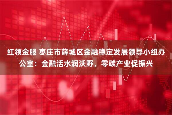 红领金服 枣庄市薛城区金融稳定发展领导小组办公室：金融活水润沃野，零碳产业促振兴