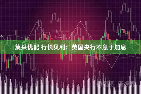 集采优配 行长贝利：英国央行不急于加息